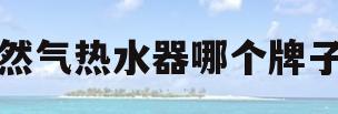 天然气热水器哪个牌子好(万和和万家和天然气热水器哪个牌子好)
