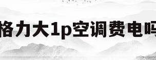 格力大1p空调费电吗(格力大1p空调适合多大房间)