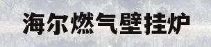 海尔燃气壁挂炉(海尔燃气壁挂炉怎么用)