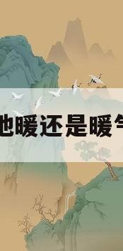 装地暖还是暖气片(是装地暖好还是暖气片好)