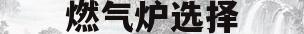燃气炉选择(燃气炉怎么选哪样的好)