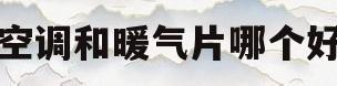 空调和暖气片哪个好(空调和暖气片哪个好省电)