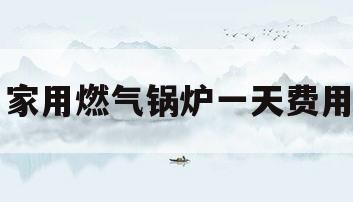 家用燃气锅炉一天费用(燃气锅炉每平米一天用多少立方)