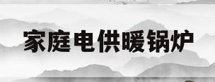 家庭电供暖锅炉(家庭用电供暖锅炉设备)
