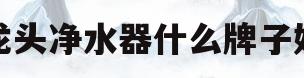 龙头净水器什么牌子好(家用龙头净水器哪个牌子好)