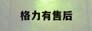 格力有售后(格力有售后清洗服务吗)