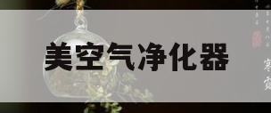 美空气净化器(享优乐空气净化器)