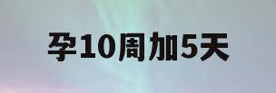 孕10周加5天(孕10周加5天肚子没有感觉)
