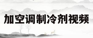 加空调制冷剂视频(空调加制冷剂的视频)