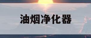 油烟净化器(油烟净化器合格证及检验报告)