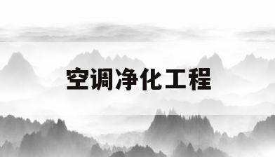 空调净化工程(空调净化工程有限公司)
