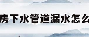 厨房下水管道漏水怎么办(厨房下水管道漏水怎么修补)