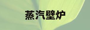 蒸汽壁炉(蒸汽壁炉不出蒸汽)