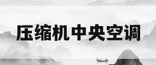 压缩机中央空调(压缩机中央空调风机)