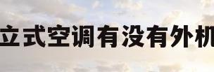 立式空调有没有外机(无外机冷暖空调一体机)