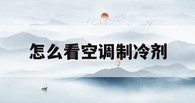 怎么看空调制冷剂(怎么看空调制冷剂足不足)