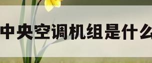 中央空调机组是什么(中央空调机组运行原理)
