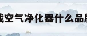 车载空气净化器什么品牌好(车载空气净化器哪个品牌最专业)