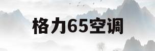 格力65空调(格力空调26565)