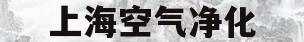 上海空气净化(上海空气净化器招商)