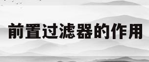 前置过滤器的作用(前置过滤器的作用大吗)