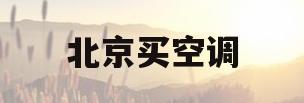 北京买空调(北京买空调去哪家店)