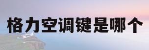 格力空调键是哪个(格力空调按键标志图解)