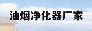 油烟净化器厂家(油烟净化器厂家代理)