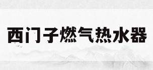 西门子燃气热水器(西门子燃气热水器售后服务电话)