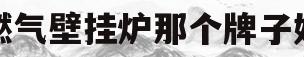 燃气壁挂炉那个牌子好(燃气壁挂炉哪个品牌经济实惠)
