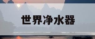 世界净水器(世界净水器排前十名)