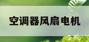 空调器风扇电机(空调器风扇电机上的字母代表什么)