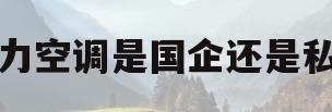 格力空调是国企还是私企(格力空调是国有企业还是私有企业)