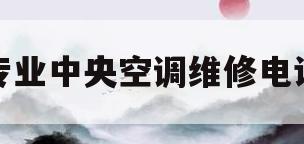 专业中央空调维修电话(专业维修中央空调的电话)