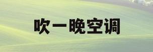 吹一晚空调(吹一晚空调全身酸疼怎么办)