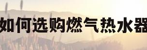 如何选购燃气热水器(家用燃气热水器怎么选购技巧)
