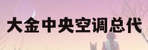 大金中央空调总代(大金中央空调代理模式)