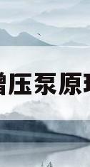 增压泵原理(自动增压泵原理)