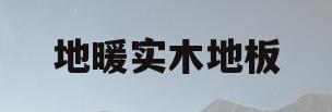 地暖实木地板(久盛地板地暖实木地板)