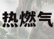 加热燃气炉(燃气加热炉的定义)