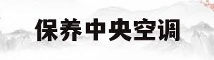 保养中央空调(保养中央空调商用)
