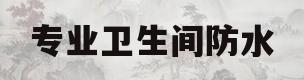专业卫生间防水(专业卫生间防水补漏)