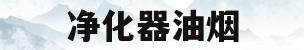 净化器油烟(净化器油烟机清洗)