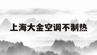 上海大金空调不制热(大金空调制热不出热风)