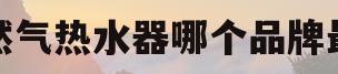 天然气热水器哪个品牌最好(天然气热水器哪个品牌最好安全又省电)
